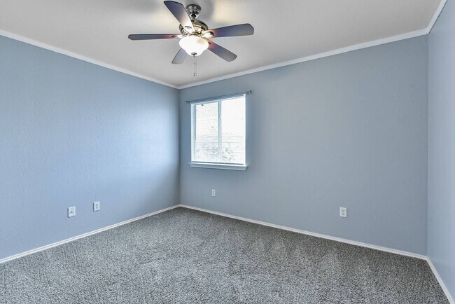 Building Photo - 4600 Donegal Bay Ct