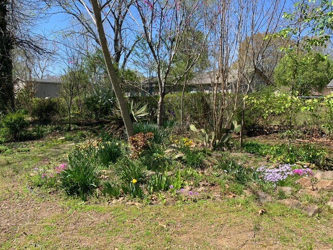 Building Photo - 3 Creekridge Cir
