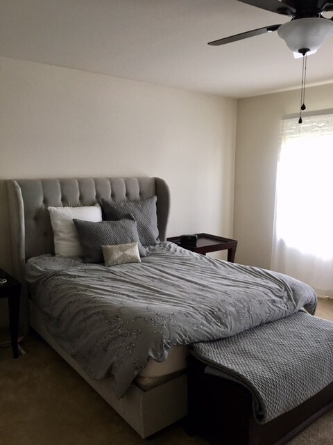3rd floor master bedroom - 602 Petersburg Rd