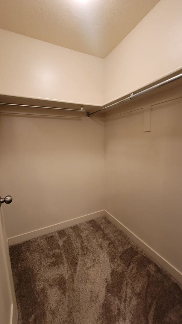 Building Photo - Dashing Edgewater Townhome