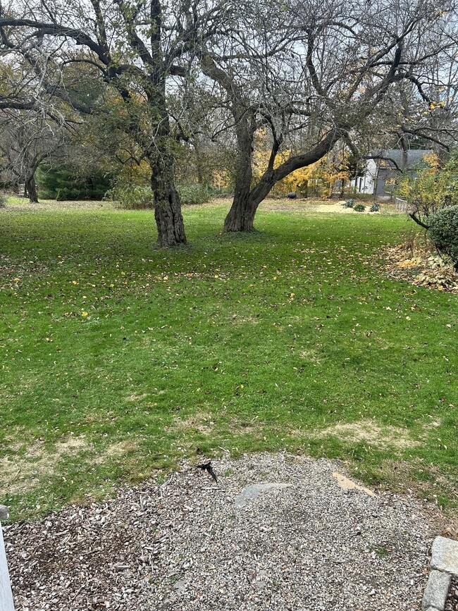 Building Photo - 26 Pearl St