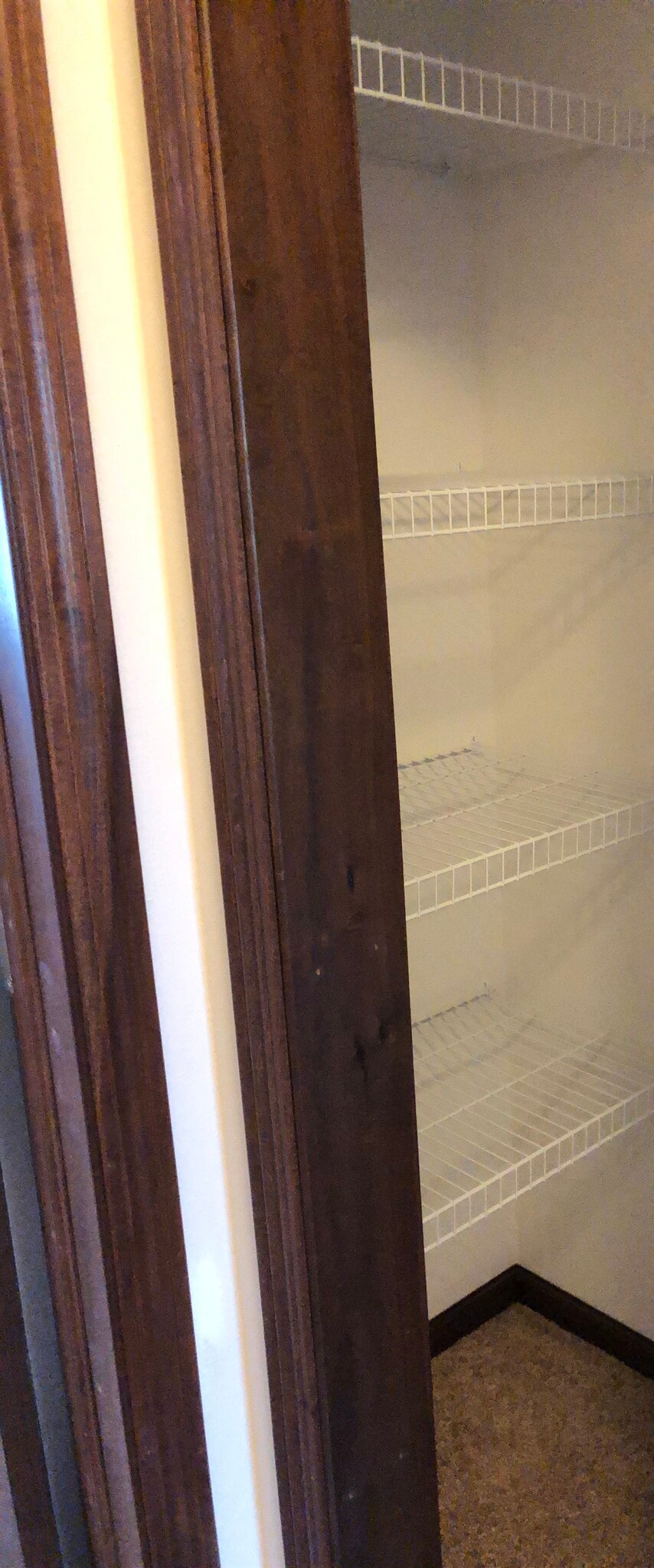 Master Bath Linen Closet - 1910 Wrigley St