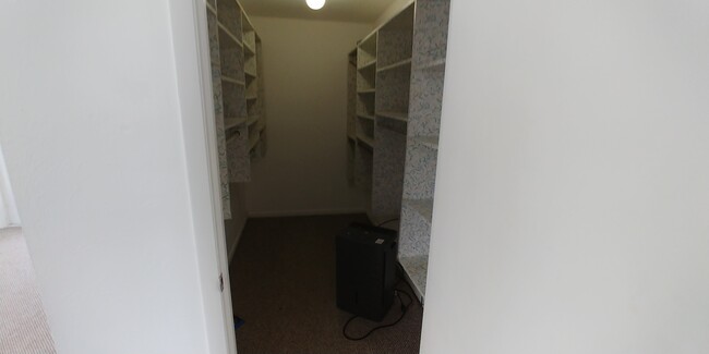 Walk in closet - 82 N Conch Ave