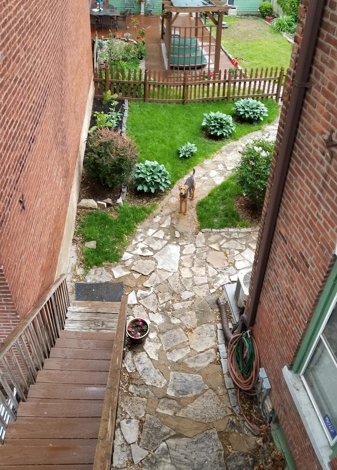 entrance in the yard - 1916 S 10th St