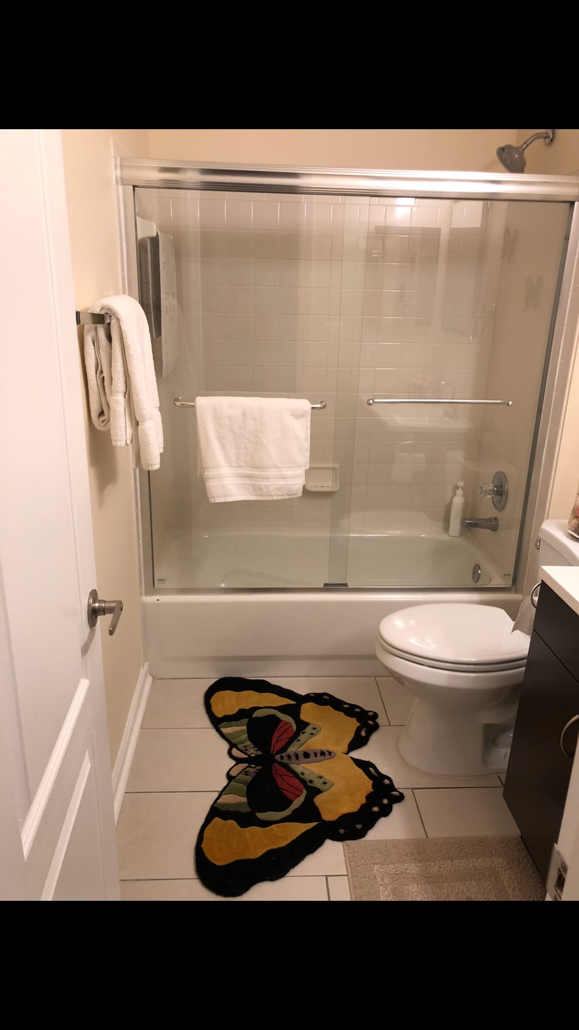 Basement bathroom - 29 Steeple Ct