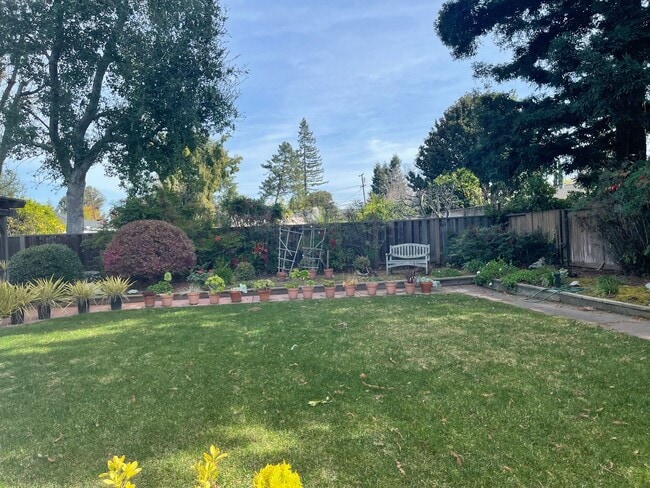 Building Photo - Spacious Los Altos home, walk to highly rated Los Altos schools! Cul de sac location,  big back y...