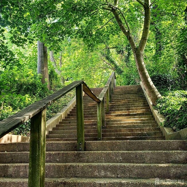 Building Photo - 45 Miller St