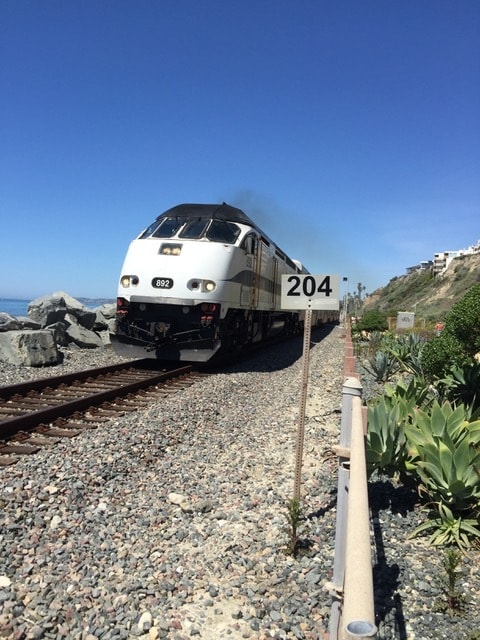 Famous 204 surf spot below - 1201 Buena Vista