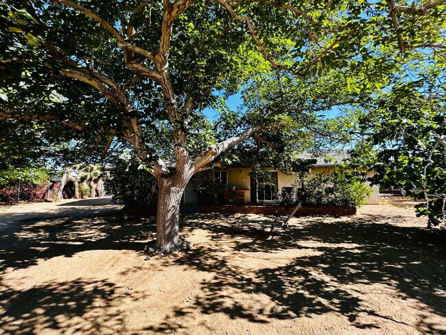 Building Photo - Spacious 2 bd, 2 ba with attached finished garage