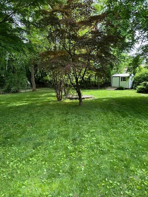 Building Photo - 3315 Johns Ct