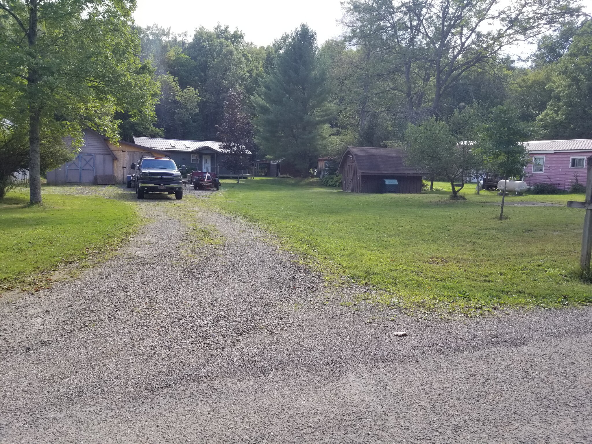 Front Yard/ Driveway - 1347 Mead Run Rd