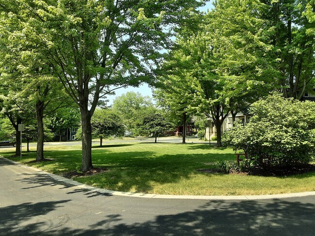Park - 3501 Strawberry Loop