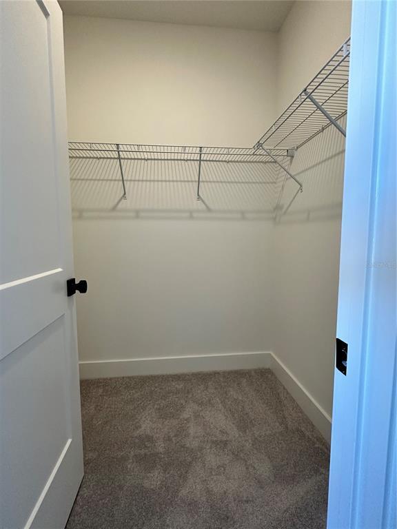 Building Photo - 5777 Citrus Pk Dr