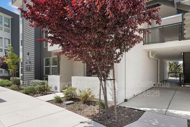 Building Photo - 2600 Wildflower Sta Pl
