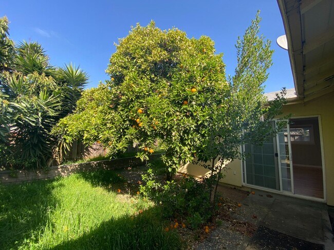 Building Photo - Stunning Three Bedroom House W/ Two Car Garage & Backyard!!