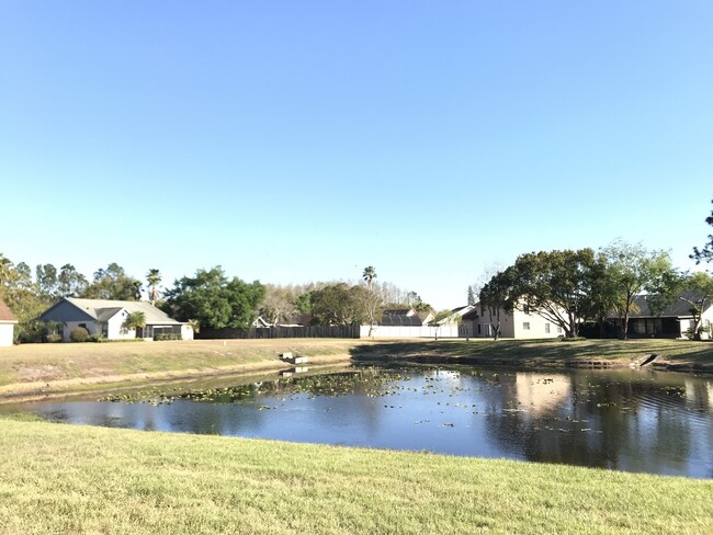 Building Photo - Beautiful Home in Cypress Springs!