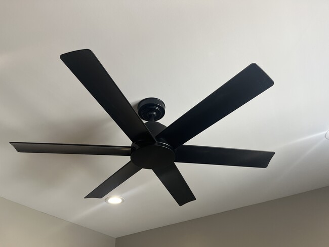 Building Photo - 77 Emanuel Ct