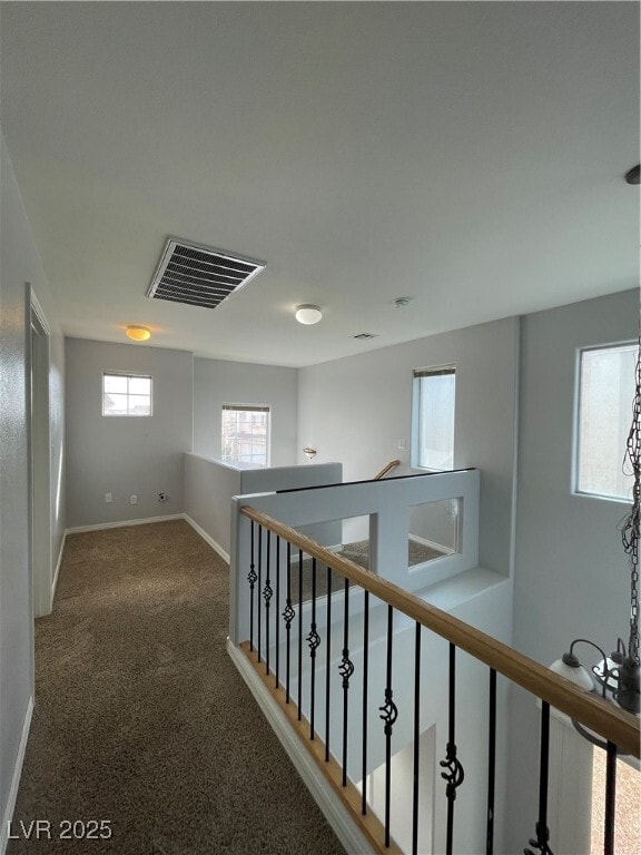 Building Photo - 7481 Catmint St