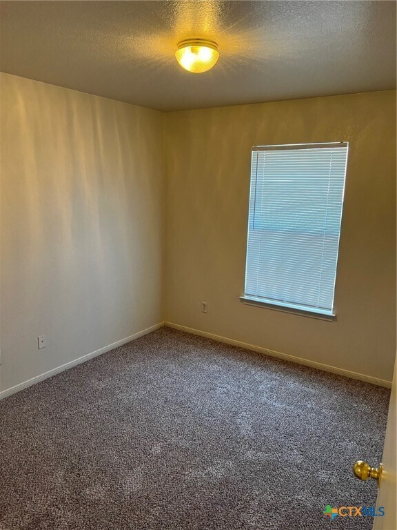 Building Photo - 1409 Cinch Dr