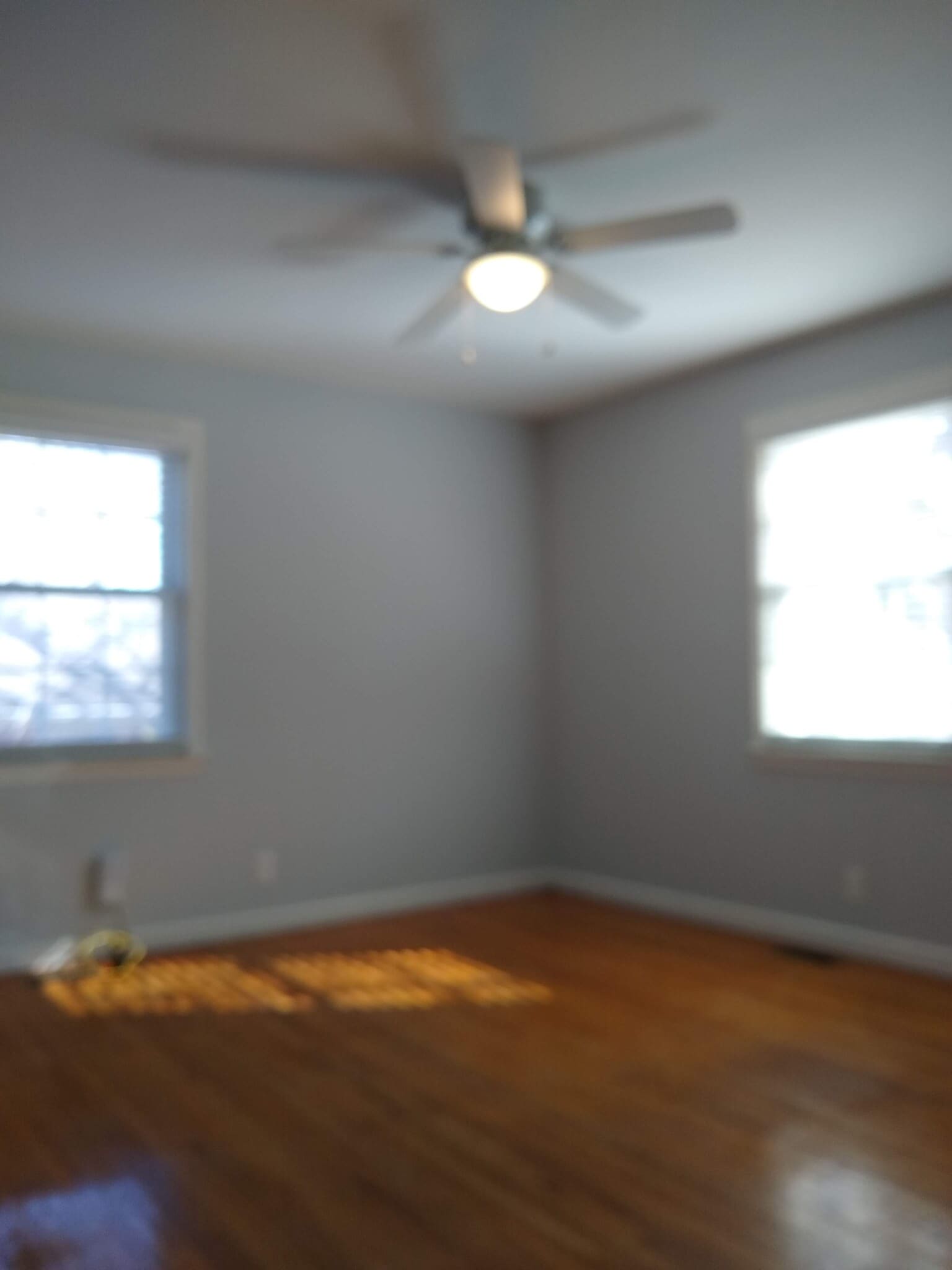 Bed 1 - 1411 Daniel St