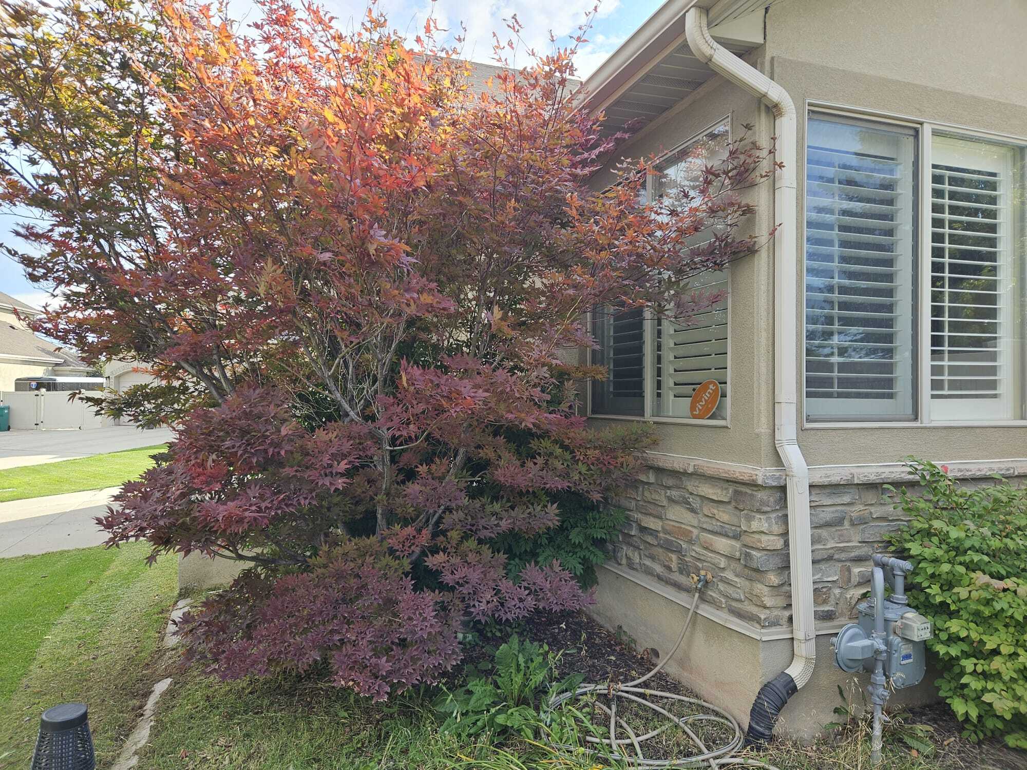 Building Photo - 1879 W Colony Pointe Dr