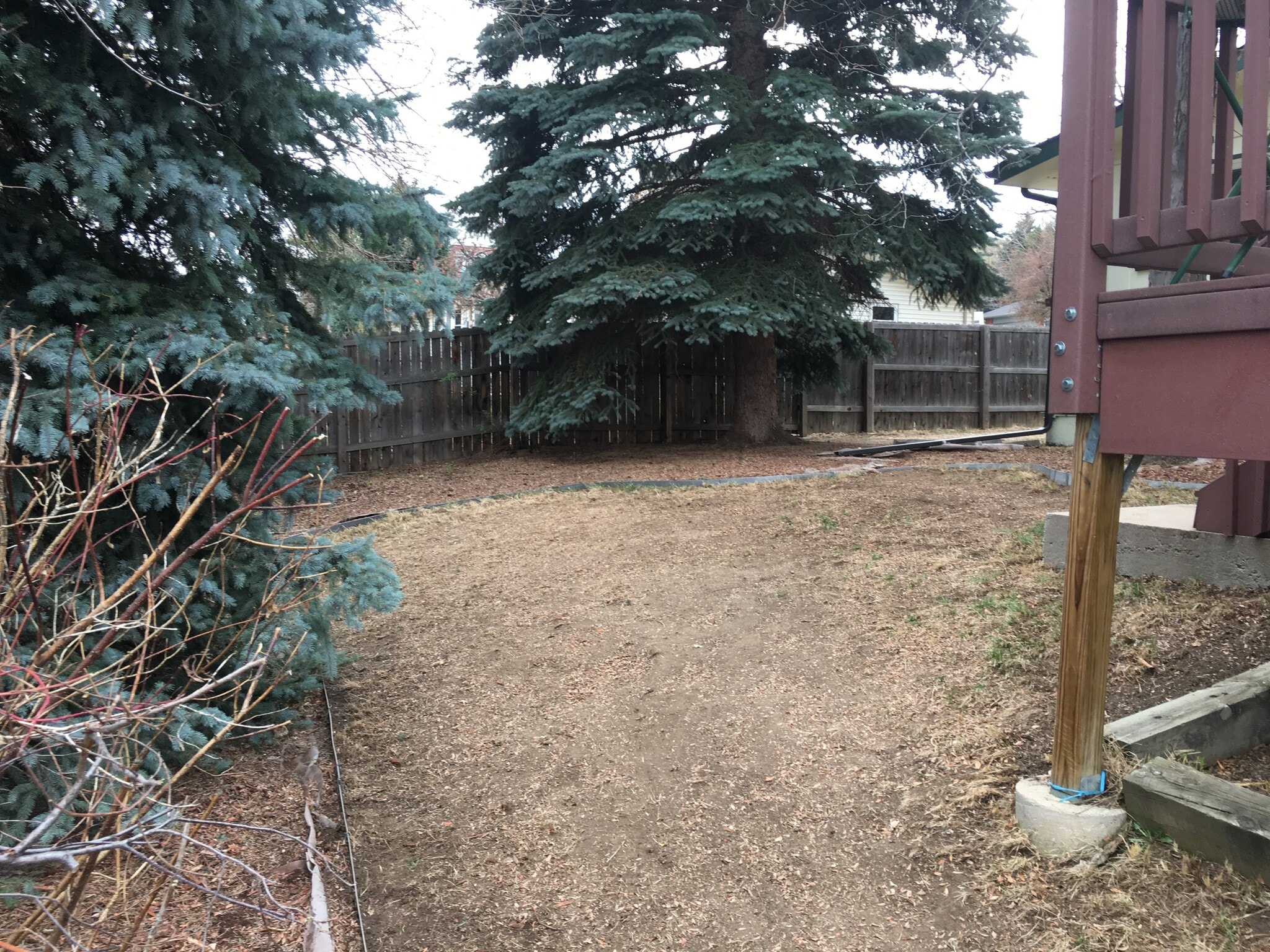 Backyard - 756 S Bristol St
