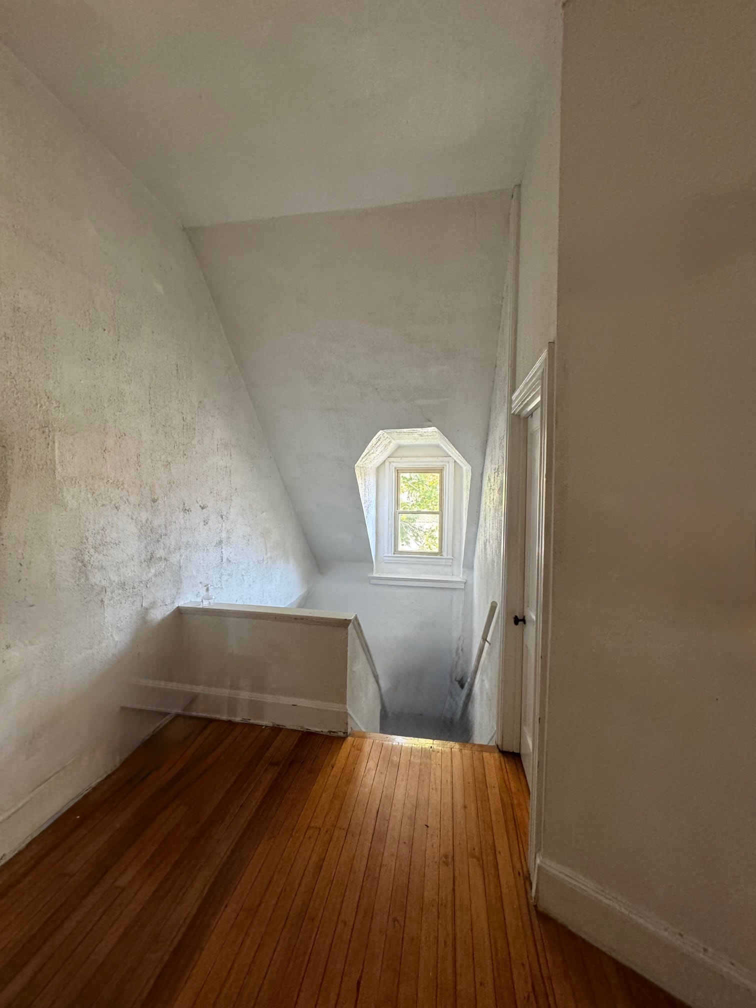 Charming Apartment with a View - 5601 Wilkins Ave