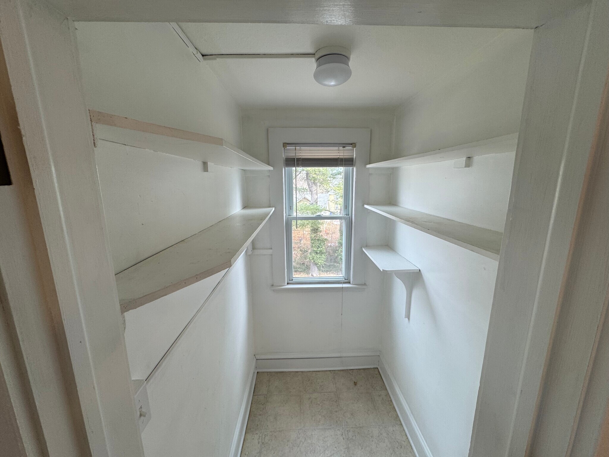 Pantry - 34 Nesbit Ave