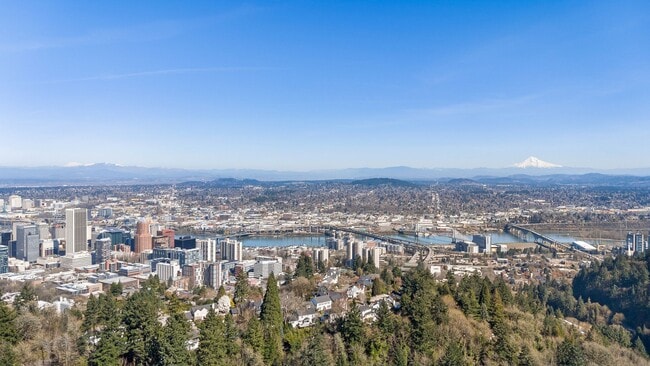 Building Photo - Freshly Remodeled Stunner Perched on the H...