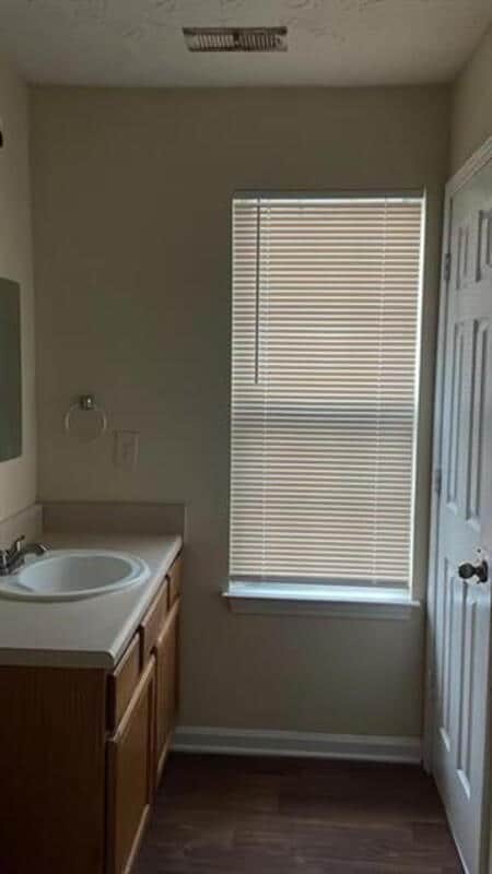 Building Photo - 2953 Falling Water Point