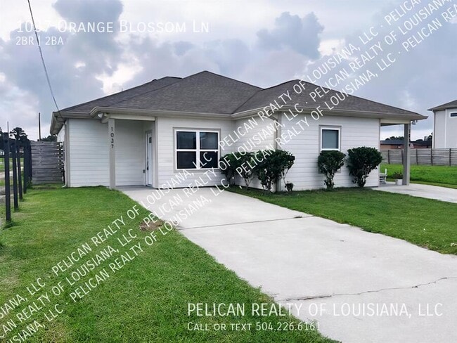 Primary Photo - 1037 Orange Blossom Ln