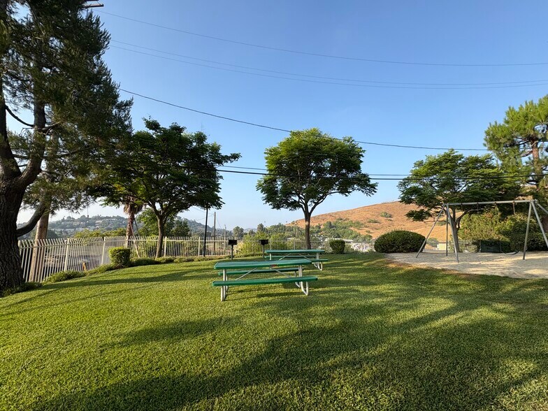 Lawn/Park - 4750 Templeton St