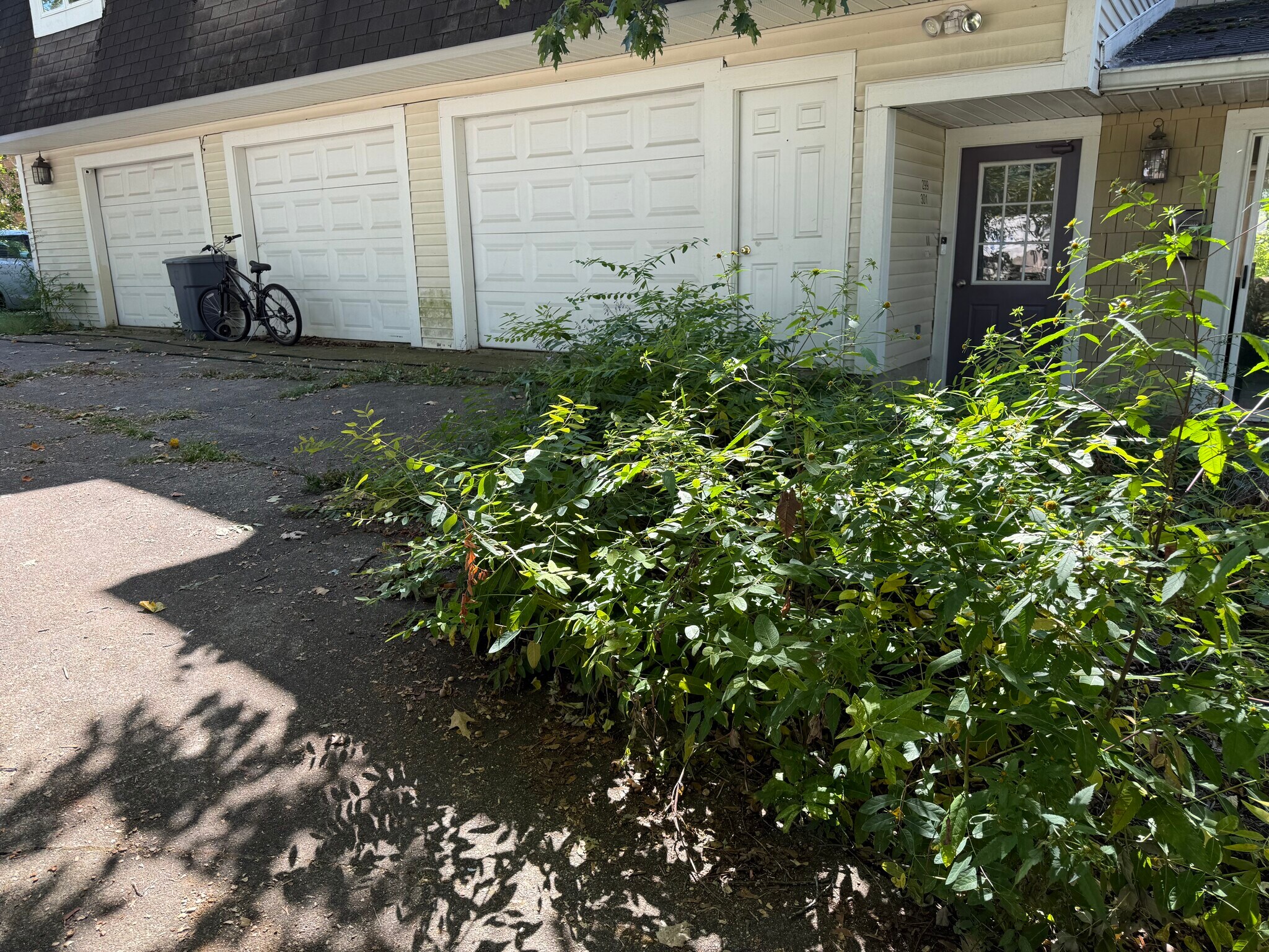 Building Photo - 297 High St