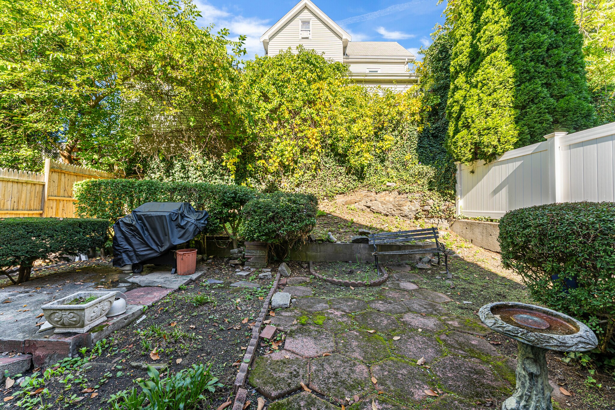 backyard - 31 Cameron Ave
