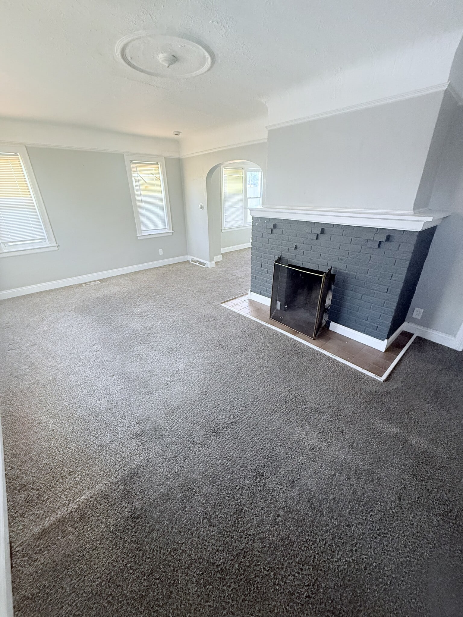 Living Room - 11203 Jackson Ave