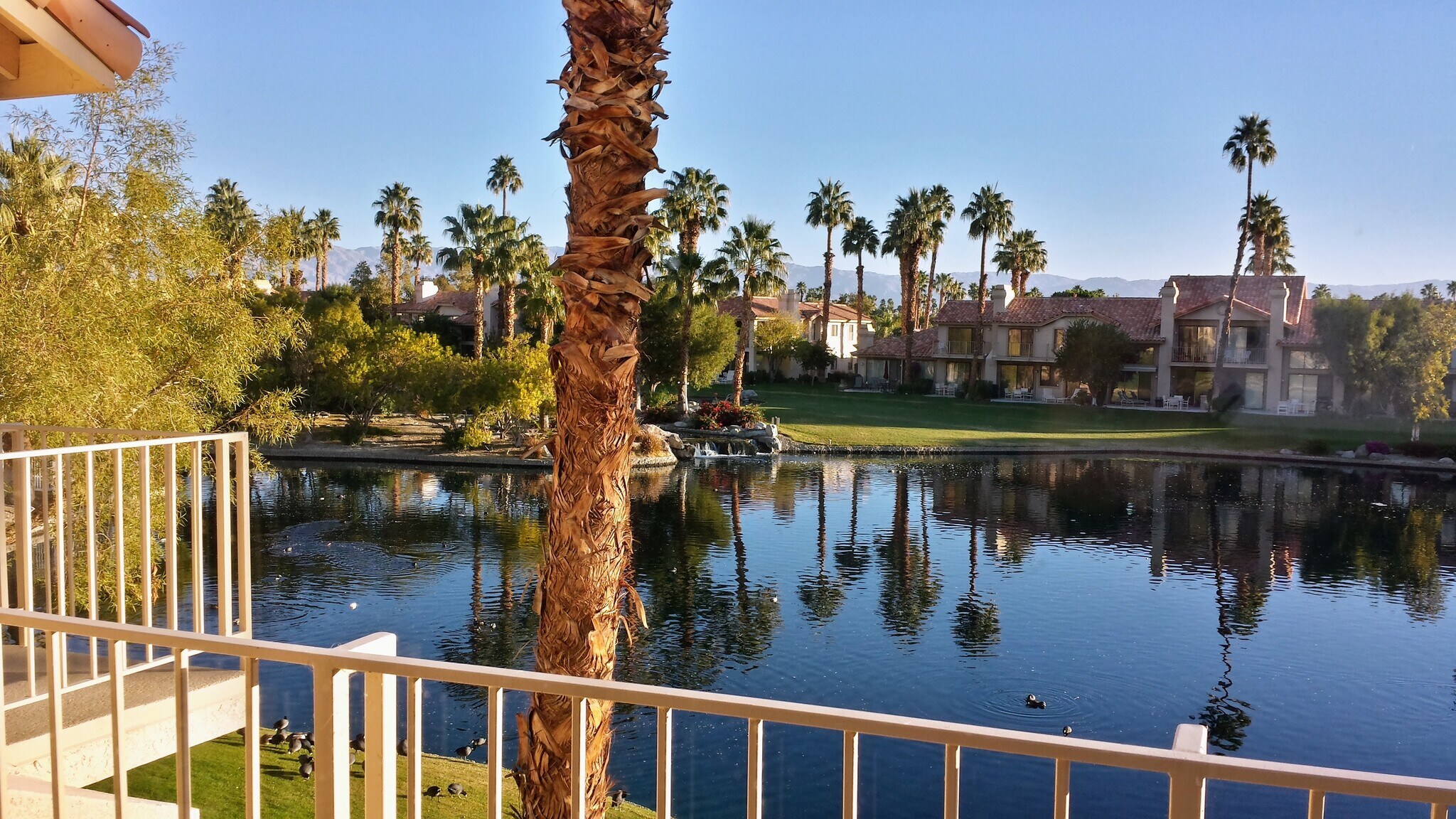 view from upstairs bedroom - 55456 Firestone