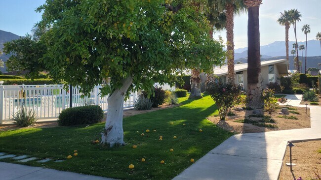 Building Photo - 37800 Da Vall Dr