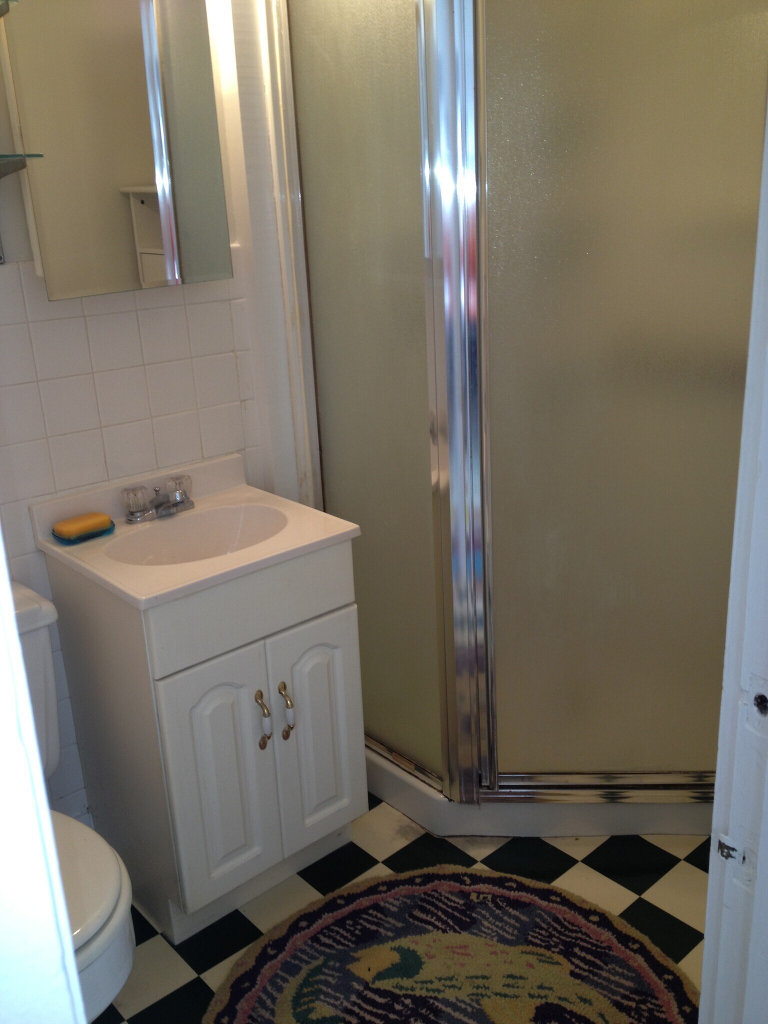 Bathroom Shower - 8 Orchard St