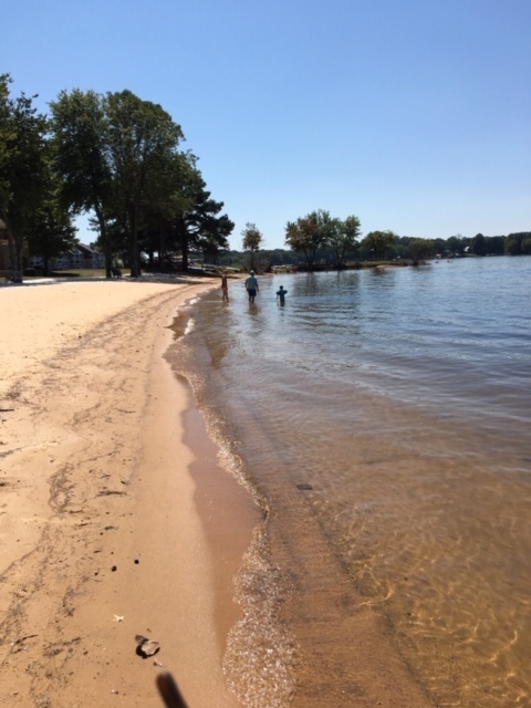 Building Photo - LUXURY LAKEFRONT LIVING!