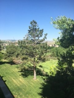 Building Photo - Spacious 2bd/2ba condo!