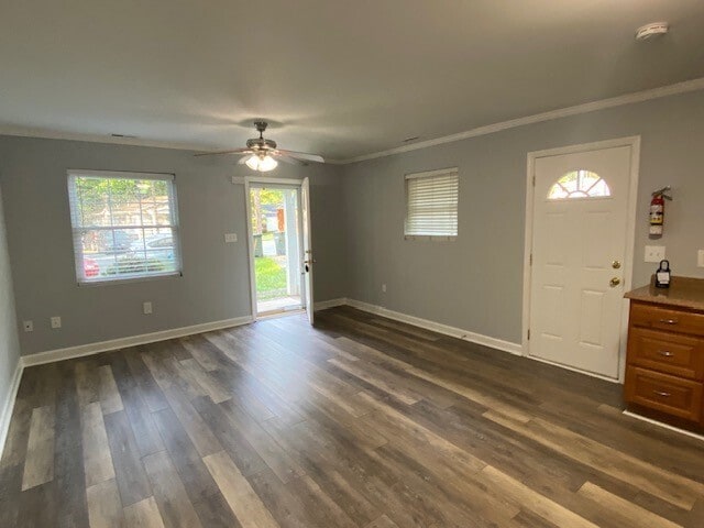 Building Photo - 1215 Hibiscus St