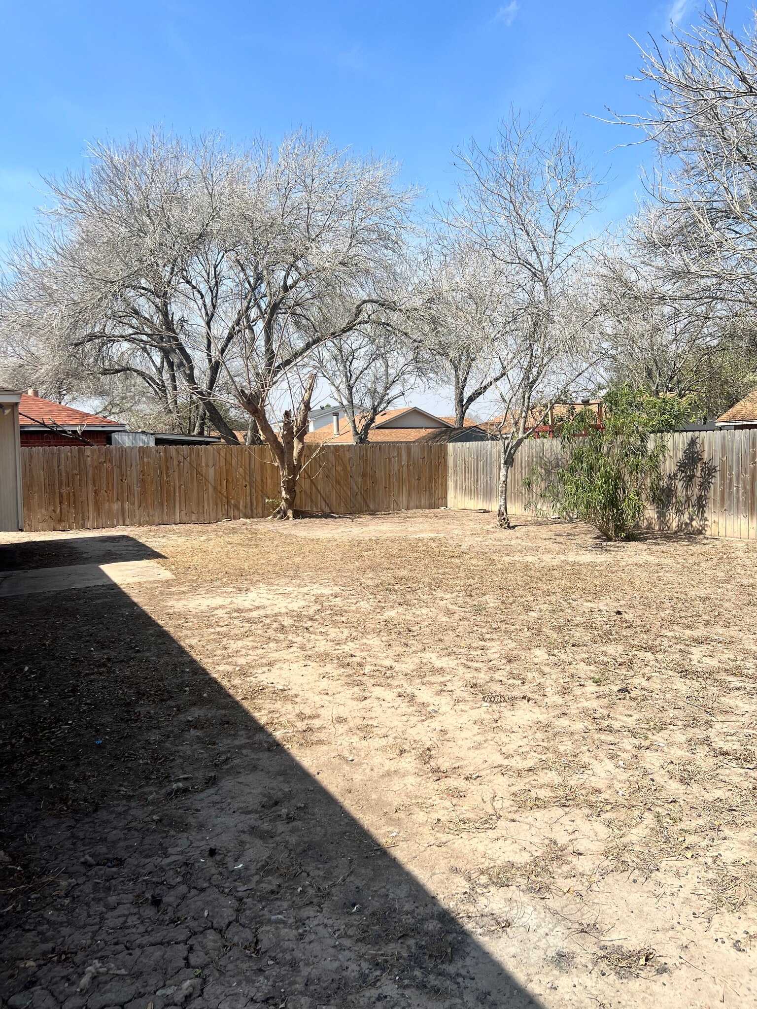 Building Photo - 1555 Nogalitos St