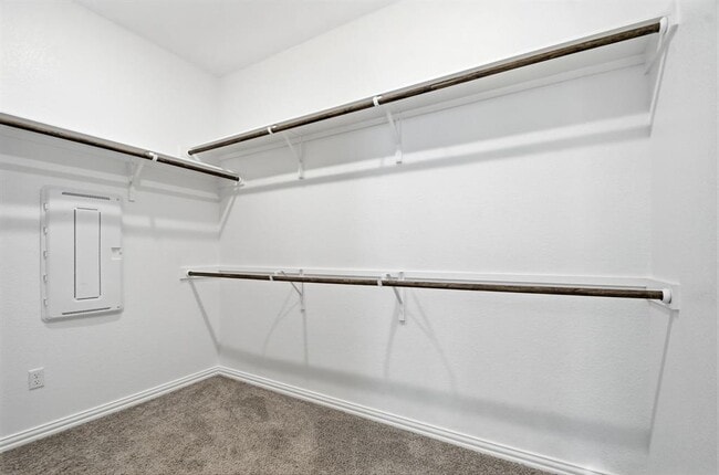 Building Photo - 1009 Calendula Trl