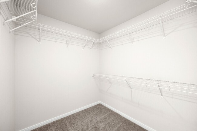 Building Photo - 3214 Sea Whip Dr