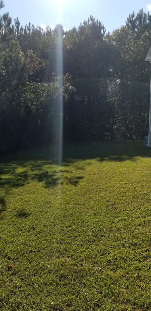 Building Photo - LOCATION! HARWOOD FLOORS!