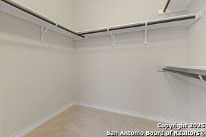 Building Photo - 611 Rose Spoonbill