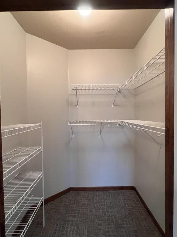 Building Photo - 1301 Tracy Ave