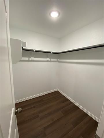Building Photo - 406 Jib Dr