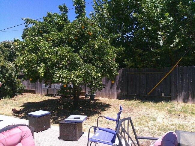 Building Photo - Must see in North Vacaville