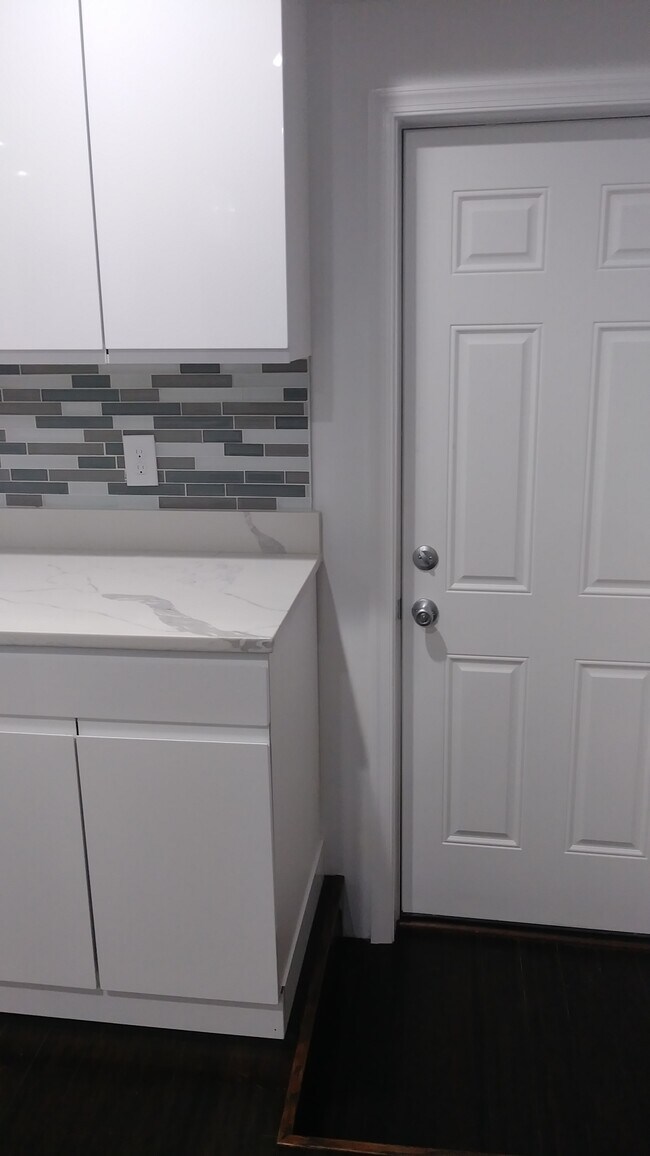 Back Door (in Kitchen) Leading to Backyard - 5 N Caroline St